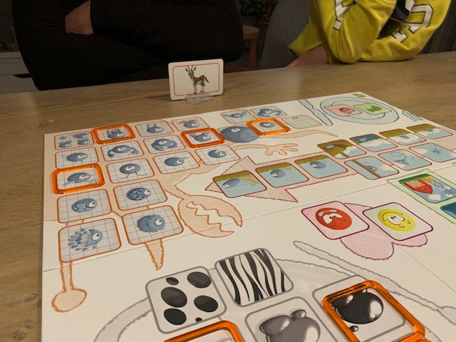 concept kids dieren spel