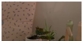 Foto weekoverzicht Judith #305 sint-maarten lantaarntje knolselderij uithollen november 2020