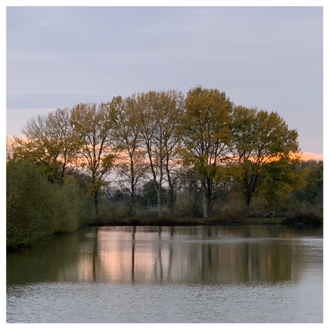 uitzicht wilhelminapark nov 2020