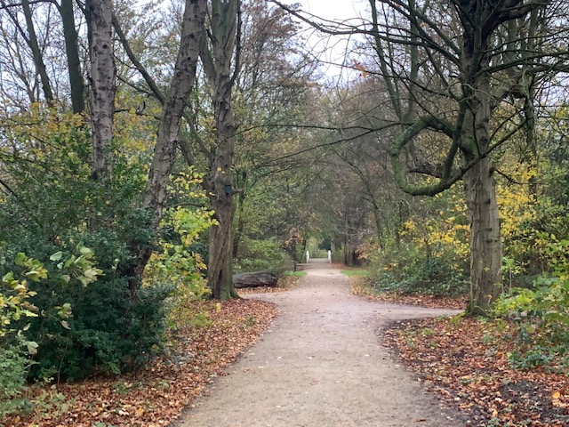 wandelen bij de voetbal nov 2020