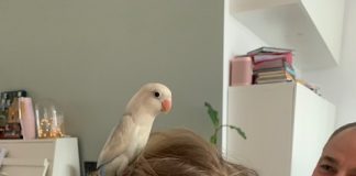 Foto weekoverzicht Judith #308 Pip op het hoofd van Lenthe