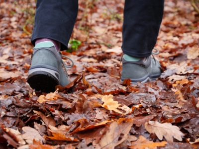 Waarom zou je wandelschoenen kopen door de herfstbladeren