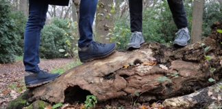 Waarom zou je wandelschoenen kopen? Tips en adviezen. wandelschoenen dames heren boomstam