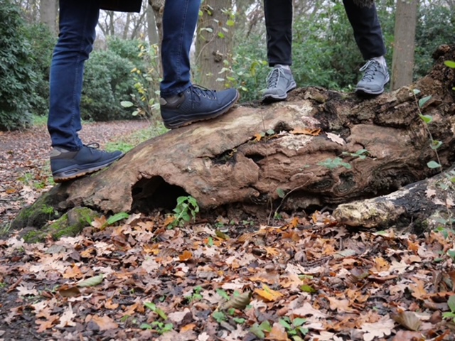 wandelschoenen dames heren boomstam