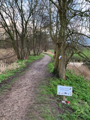 golfbaanwandeling schipluide