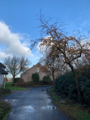 landal hoog vaals limburg huisje