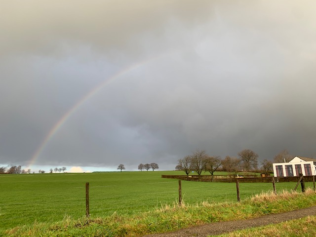 regenboog limburg