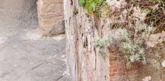 Foto weekoverzicht Judith #429 Gevangenis Procida