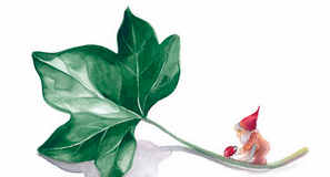 Kaarten Marie-Laure Viriot kopen Kaart wer bist du marie laure viriot