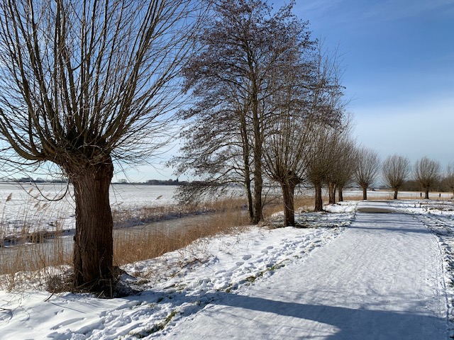 sneeuwplaatje