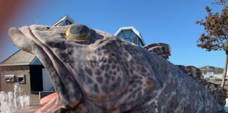 De Elfsteden fonteinen en de elf fonteinen route Fontein stavoren