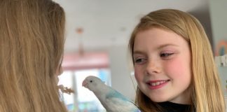 Alles voor je huisdier pip eet trosgierst bij Lot