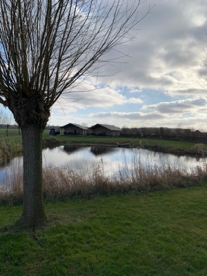 uitzicht camping schoterveld kuinre