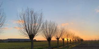 Foto weekoverzicht Judith #325 view kuinre camping schoterveld