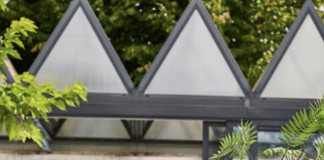 5 tips om je tuin te verduurzamen De zomerkleuren van 2021 voor je tuin