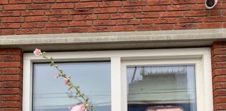 Foto weekoverzicht Judith #346 Juut 45 ballonnen