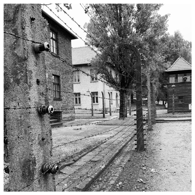 auschwitz zwartwit