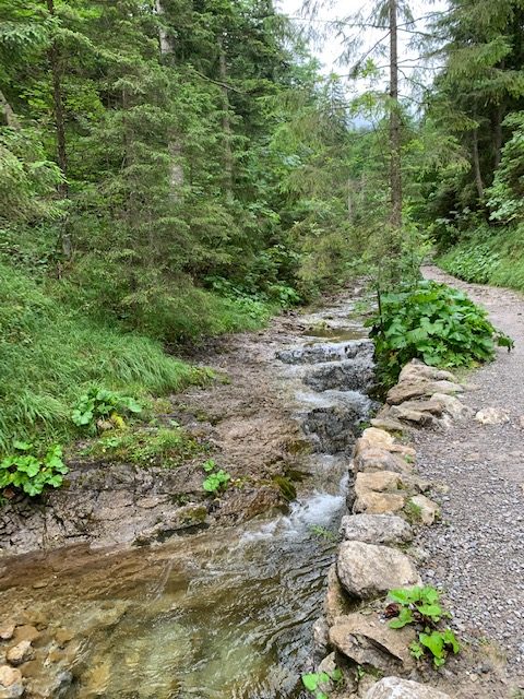 beekje zakopane