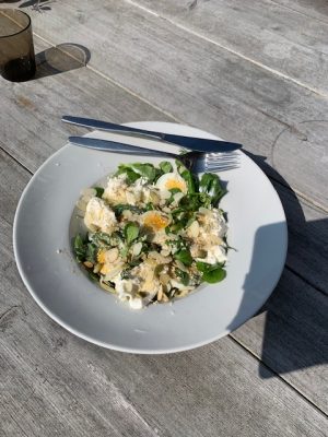 salade burrata kruiden en zaden