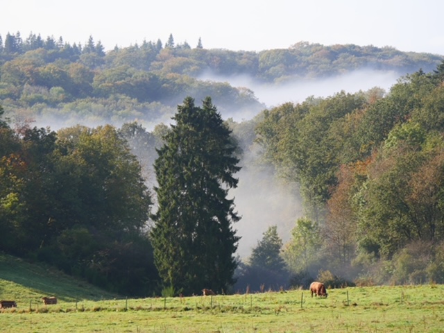 Diekirch uitzicht