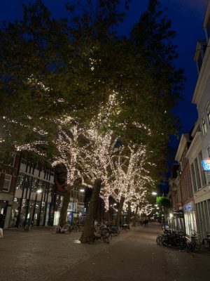 delft lichtjes