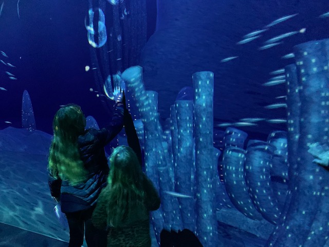 onderwaterkamer