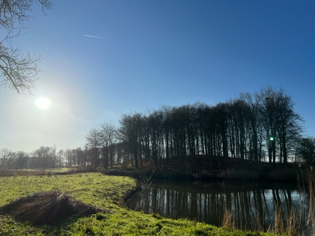 lijkt wel lente in dec 2021