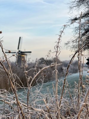 molen winter