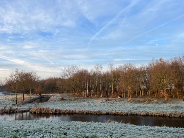 ochtendwandeling na vorst