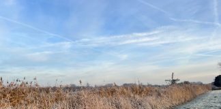 Foto weekoverzicht Judith #363 uitzicht vorst molen
