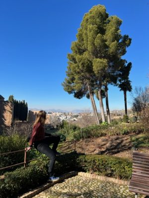 alhambra granada