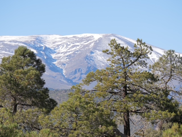 besneeuwde bergtoppen