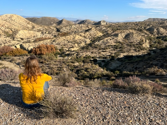 view tabernas woestijn