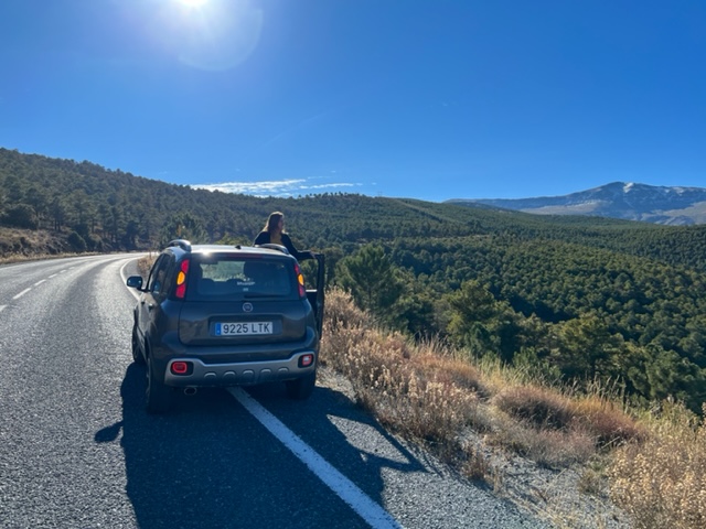 Sunny Cars andalusie