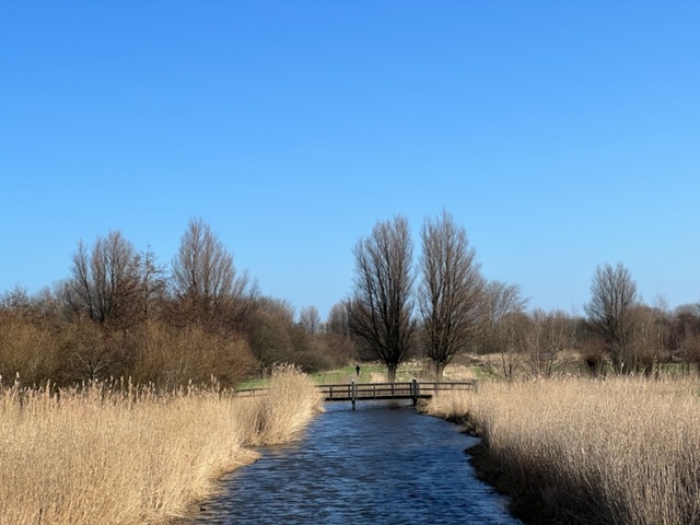 wandelroute rijswijk