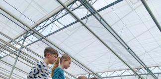 Bezoek een Aloë Vera kwekerij met je kind en volg een workshop Dr Green aloe vera