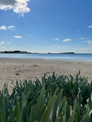 Strand Porto Cesareo