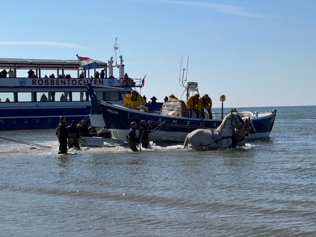 demonstratie paarden reddingsboot