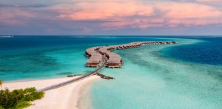 Niet alleen op je screensaver de Malediven zien. Ga er ook echt naartoe! pexels-ibrahim-bennett-10072847