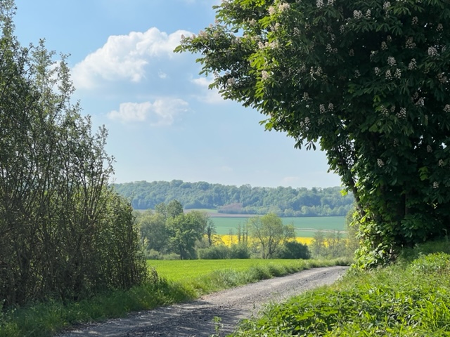 wandelen rondom bezny riviere