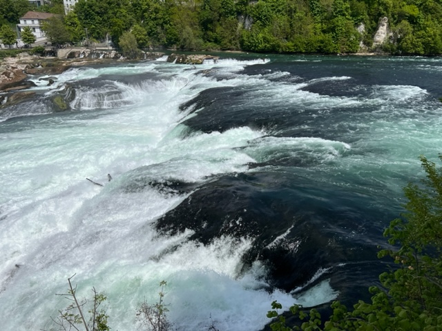 rijn stort naar beneden rheinfall