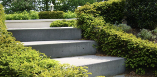 Maak een tuinafscheiding met haagplanten taxushaag