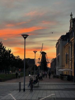 molen de roos delft sunset