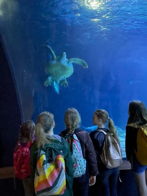 schoolreisje blijdorp lenthe