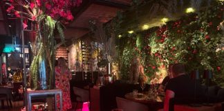 Heb je deze trends in wanddecoratie al gespot…? the steakclub plantenwand