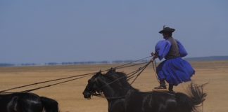 De poesta in Hongarije bezoeken Hortobagy paardenshow