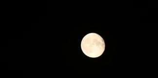 maan aug 2022