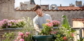 3 tips voor het renoveren van een tuin pelargoniums-for-europe-aHFlP2qKrxc-unsplash