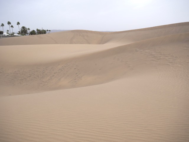 De duinen van Maspalomas