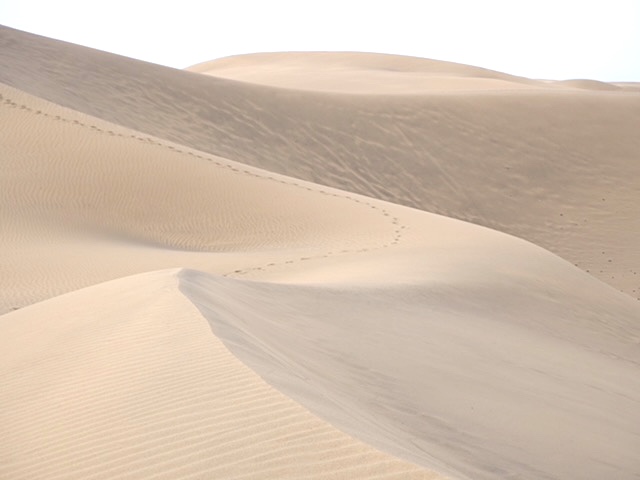 De zandduinen van maspalomas bij ochtendlicht